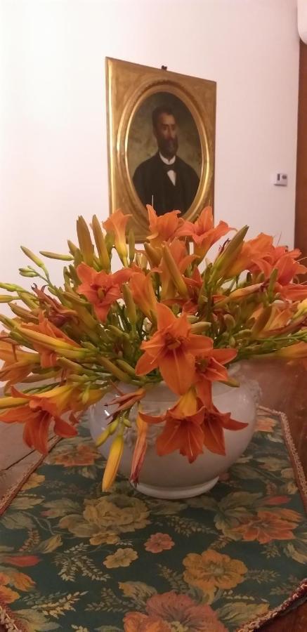 B&B Civico 58 Pannocchia Bagian luar foto
